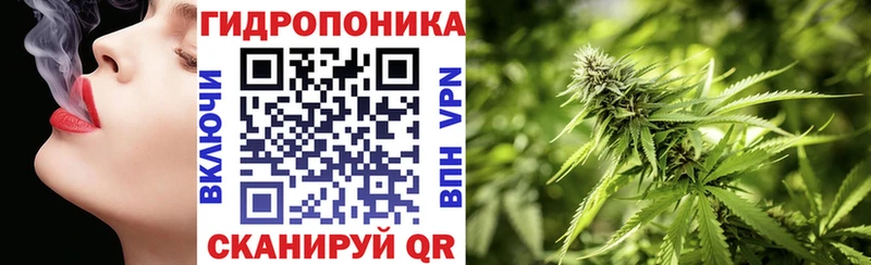 Купить закладки  Елизаветинская  Бошки марихуана сатива 